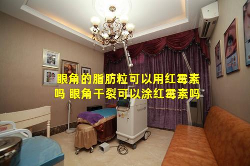 眼角的脂肪粒可以用红霉素吗 眼角干裂可以涂红霉素吗